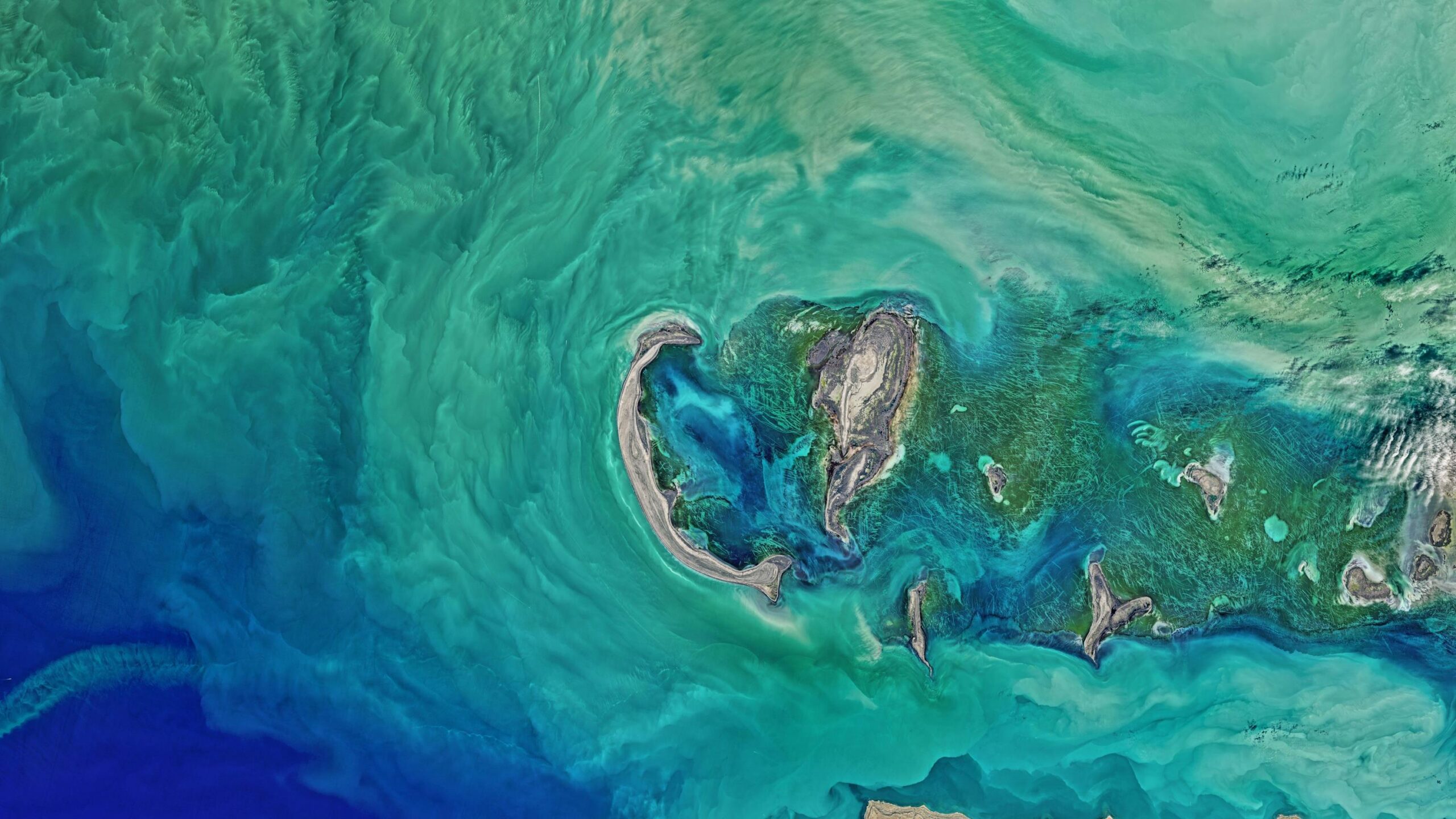 AI for navigating complexity